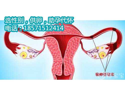 北京代怀孕中介qq,1泰国试管婴儿常用的三大促排方案。