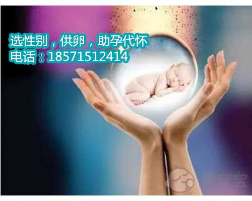 北京代怀哪些比较好,单身试管婴儿做一次多少钱