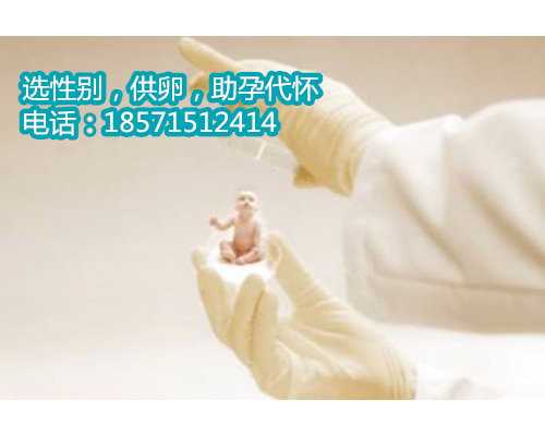 提供北京代怀孕机构,孕妇如何预防得痔疮