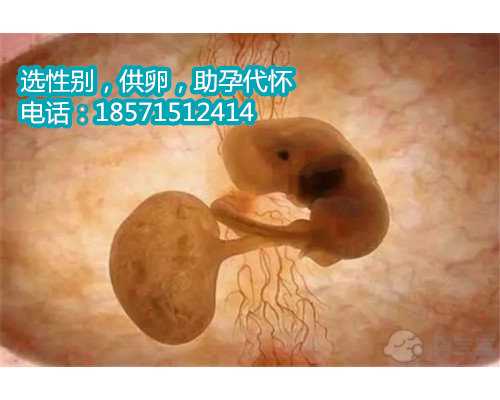 北京代怀孕湘雅医院,40岁高龄女性促排卵怀双胞胎的风险有多大