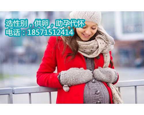 合法北京代怀孕价格表,中药坐浴处理孕妇痔疮