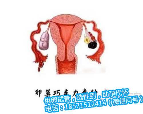 北京代怀最新价格表,子宫畸形有什么症状