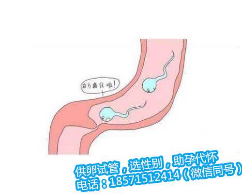 哪有北京代怀孕公司,卵巢早衰适合做几代试管婴儿
