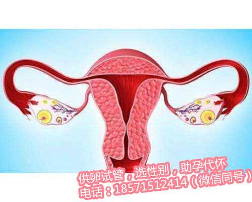 北京代怀试管婴儿网站,孕妇如何预防得痔疮