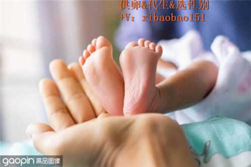 北京代怀莱代怀网,孕期远离痔疮的4个妙招