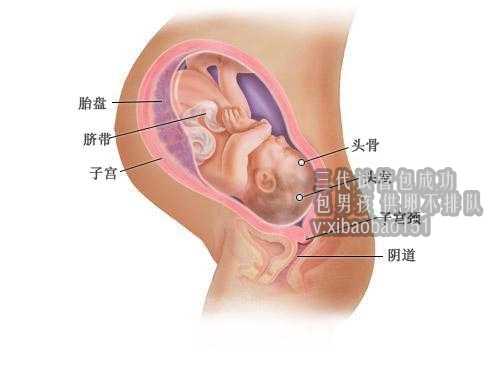 北京代怀孕会所口碑最好,2做北京试管婴儿需要的证件